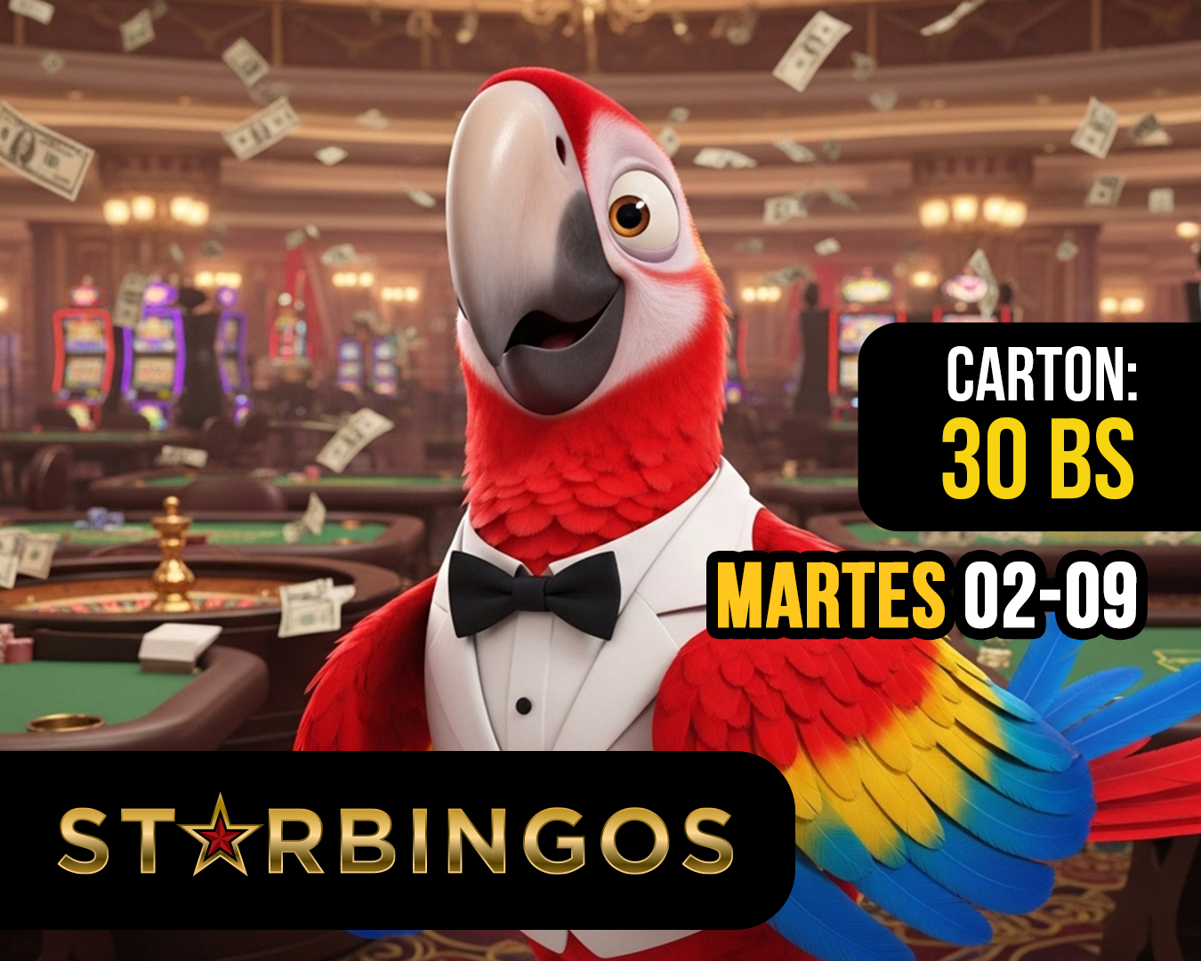 Bingo 11 02-09 5pm